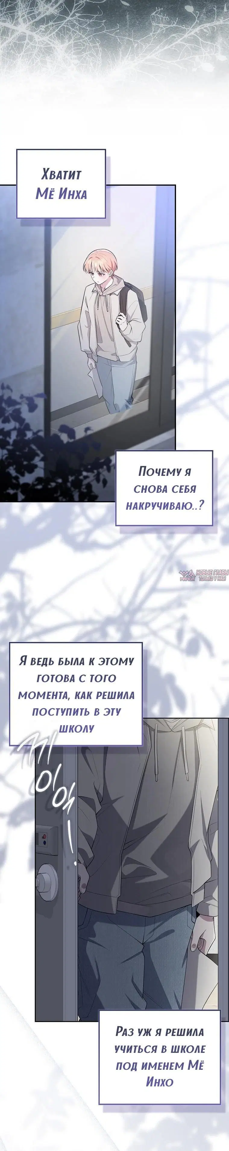 Page 5.001