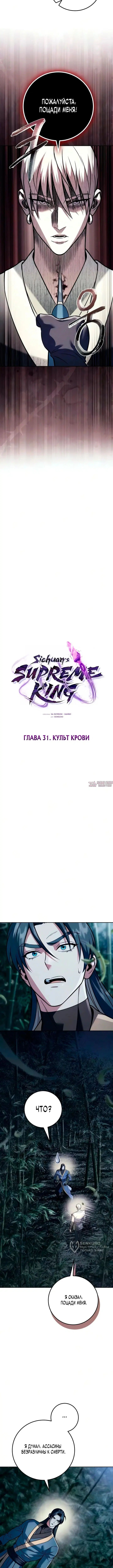 «Абсолютный Владыка из Сычуаньского клана Тан», глава 31, страница 5.000000000