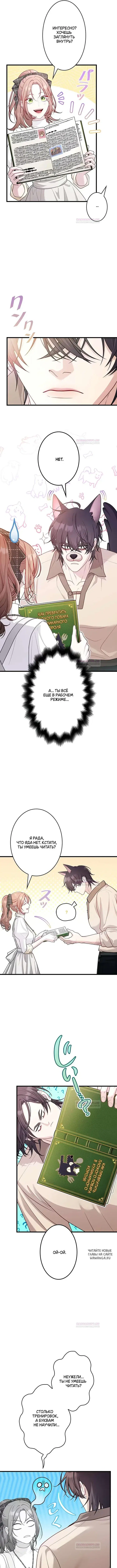 Page 3.000