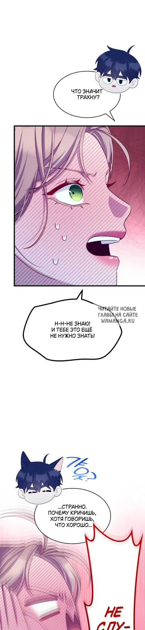 Page 41.000