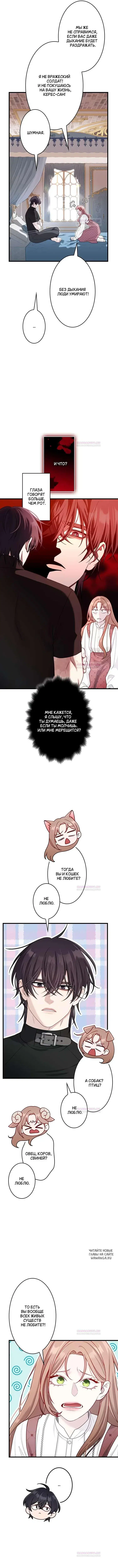 Page 4.000