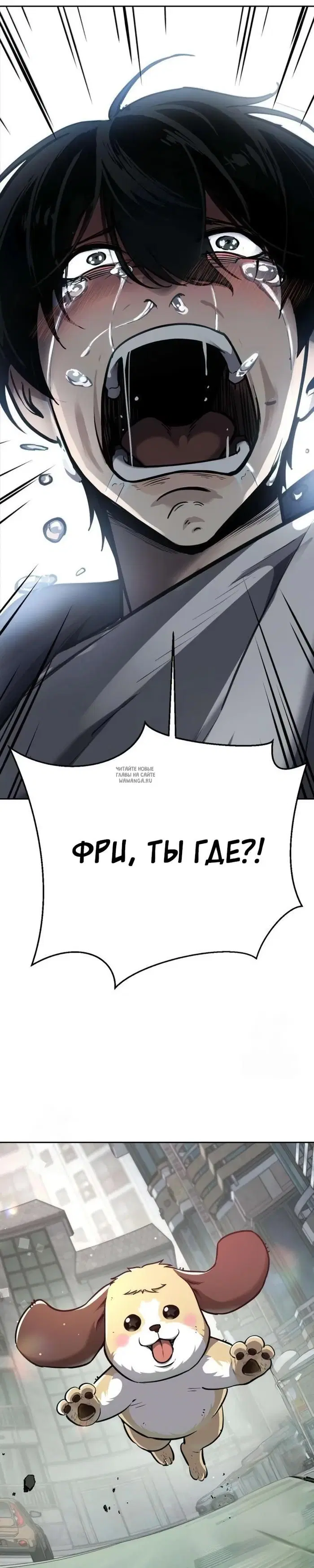 Page 13.000