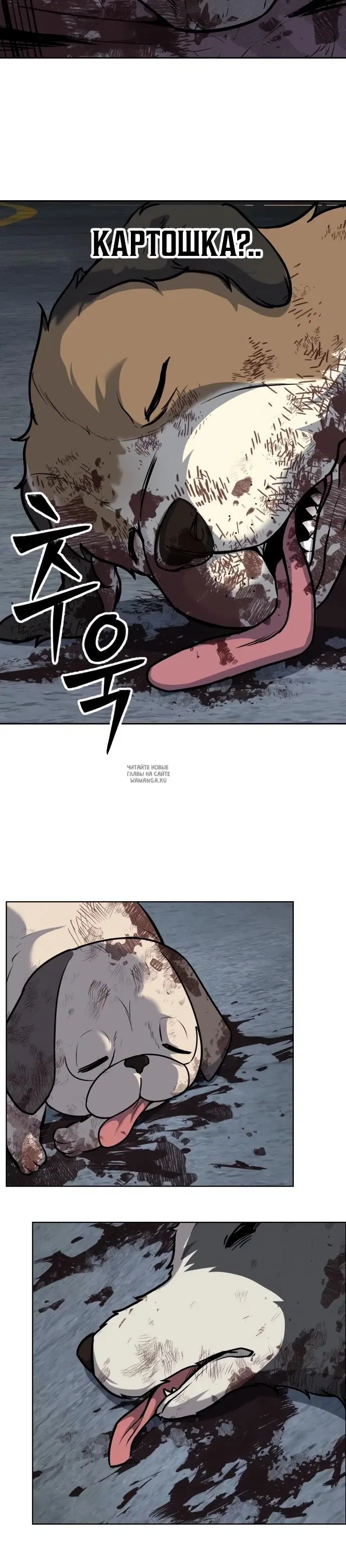 Page 39.000