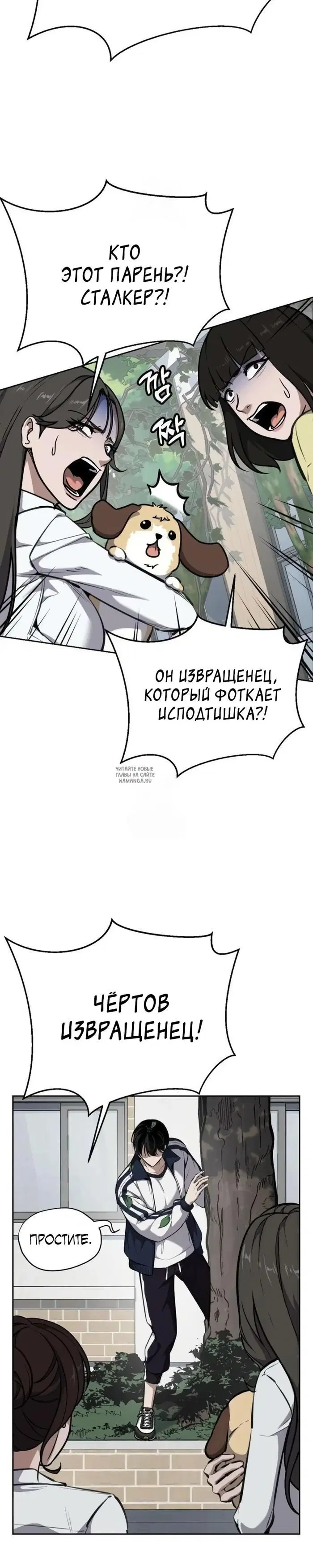 Page 31.000