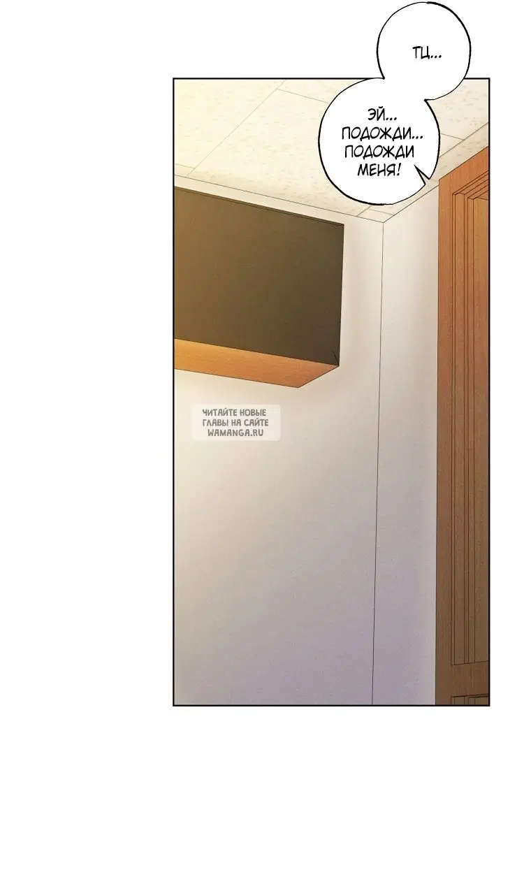 Page 31.000