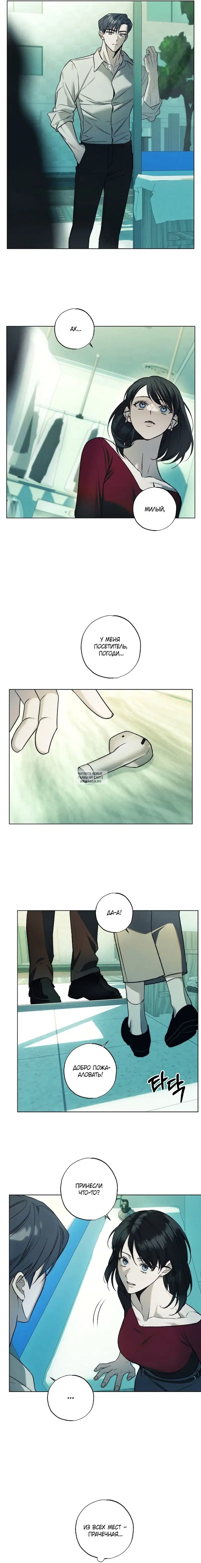 Page 6.000