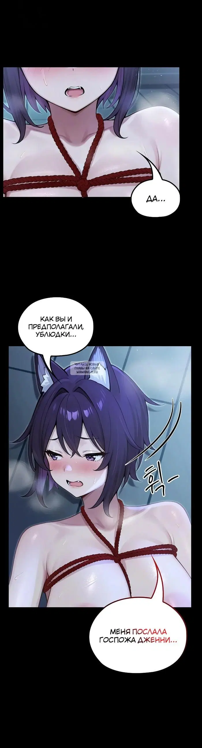 Page 25.000