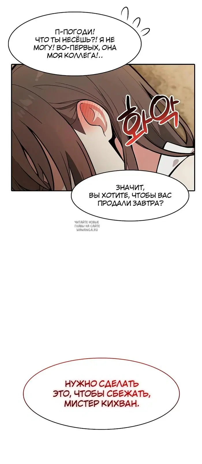 Page 51.000