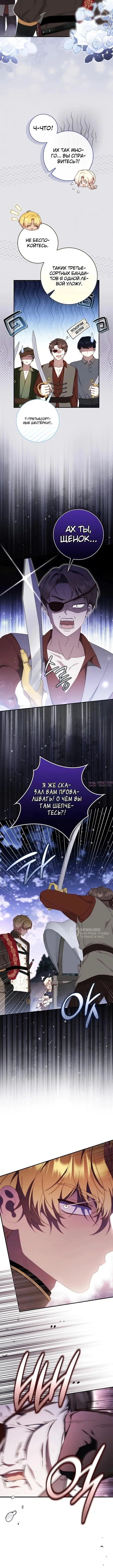 «Брачная афера императора», глава 19, страница 6.000000000