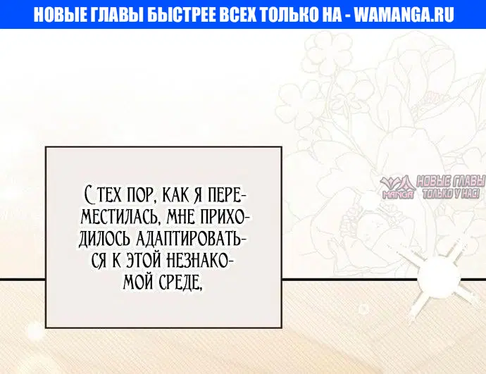 «Брачная афера императора», глава 29, страница 1.000000000