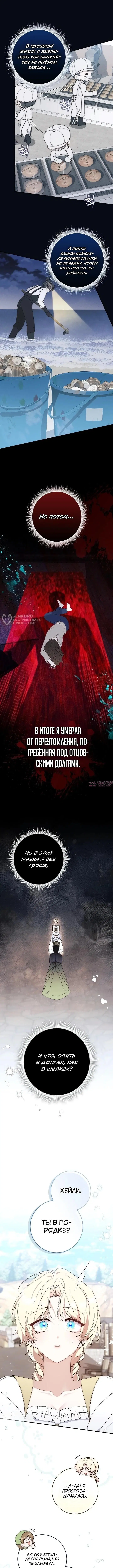 «Брачная афера императора», глава 1, страница 11.000000000
