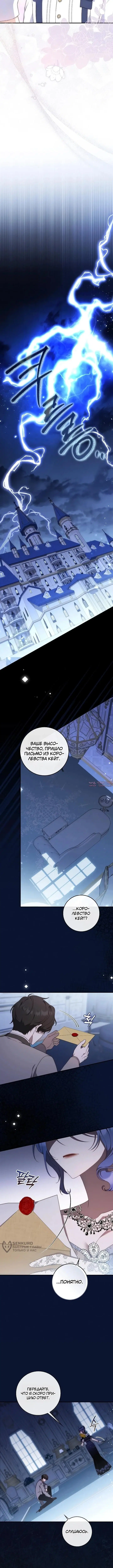 «Брачная афера императора», глава 5, страница 13.000000000