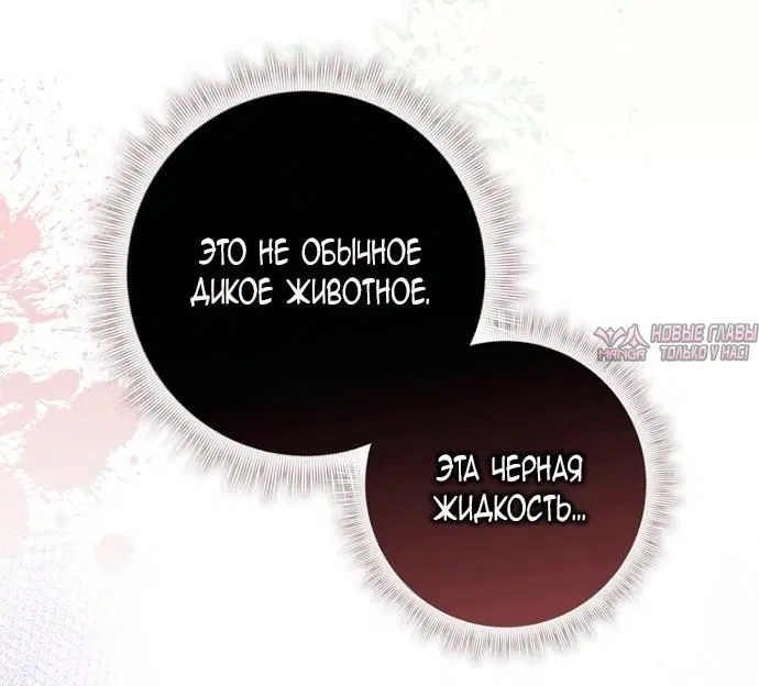 «Брачная афера императора», глава 26, страница 45.000000000