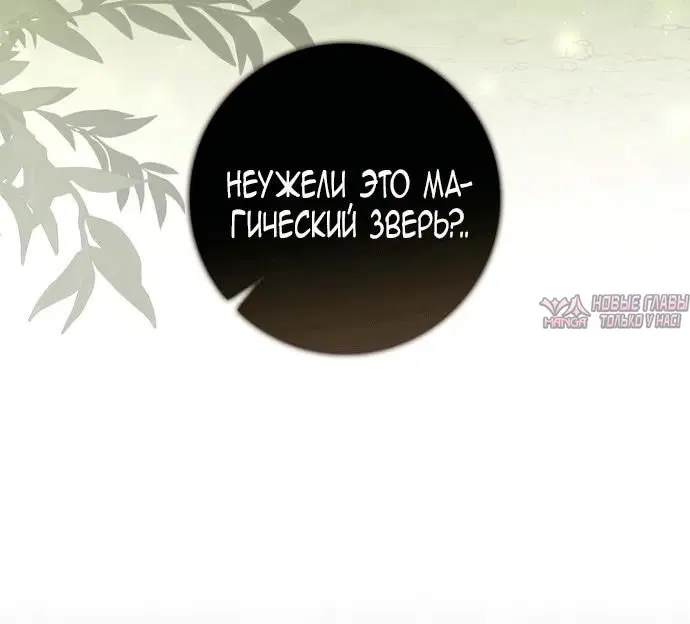 «Брачная афера императора», глава 26, страница 53.000000000