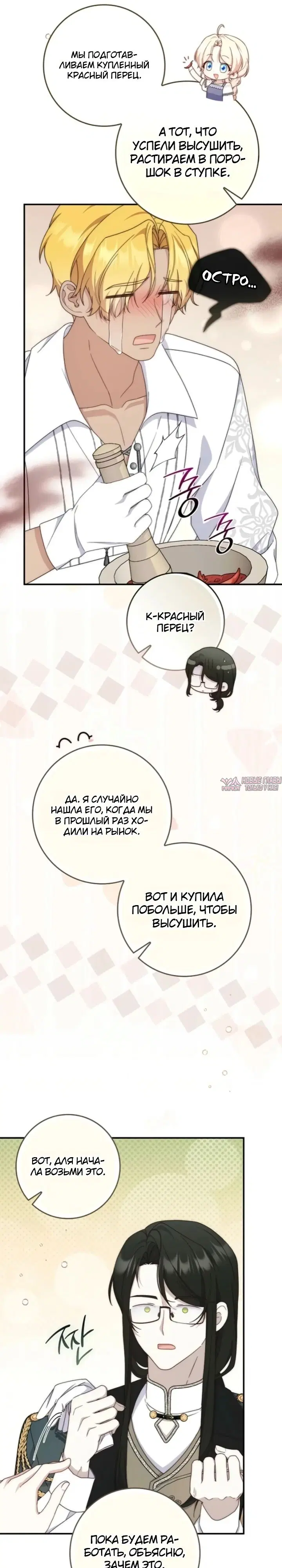 «Брачная афера императора», глава 32, страница 36.000000000