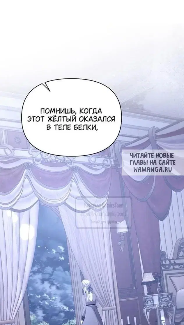 Page 48.000