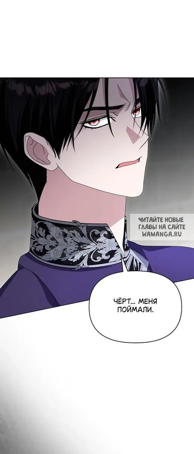 Page 41.000