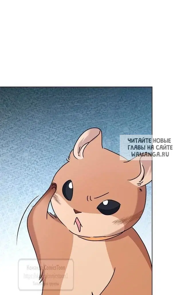Page 41.000