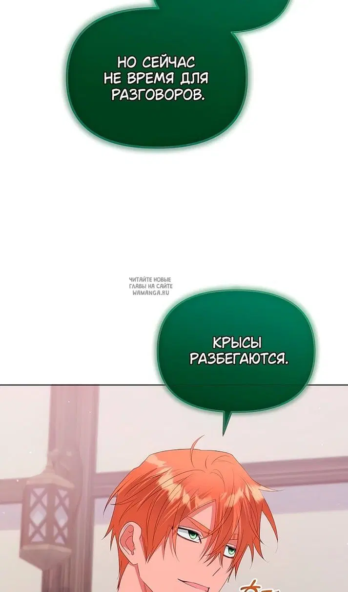 Page 51.000
