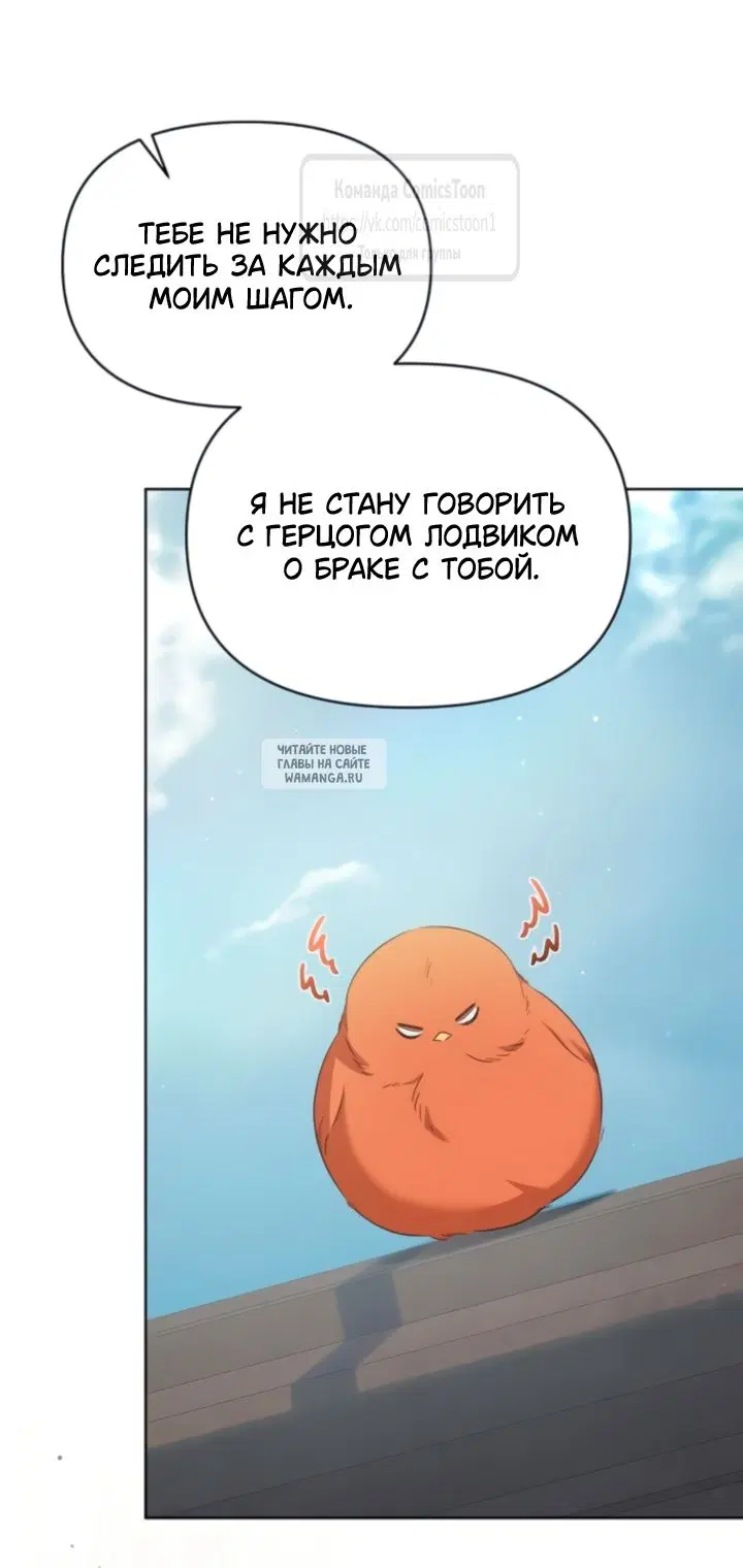 Page 51.000