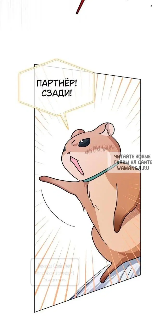 Page 62.000