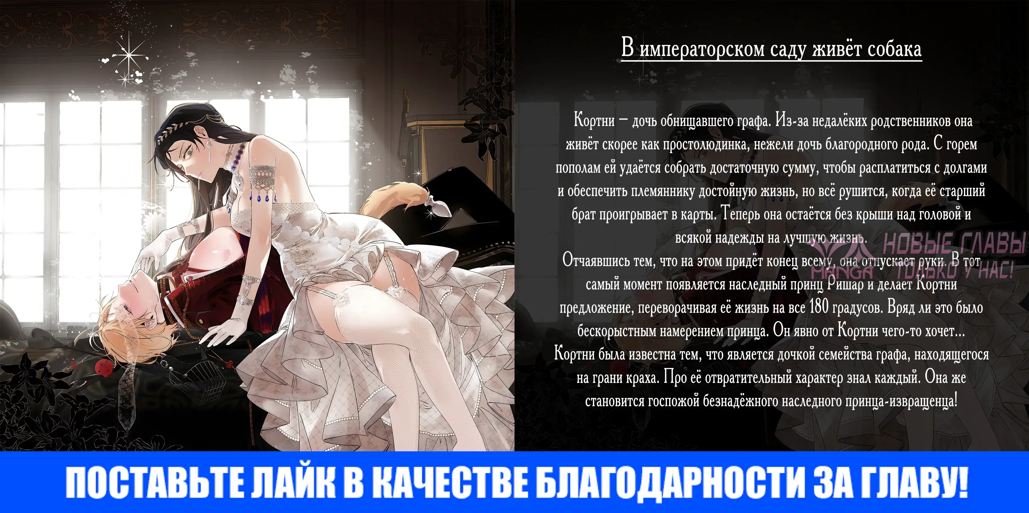 «После выпуска я всех перетрахал», глава 5, страница 50.000000000