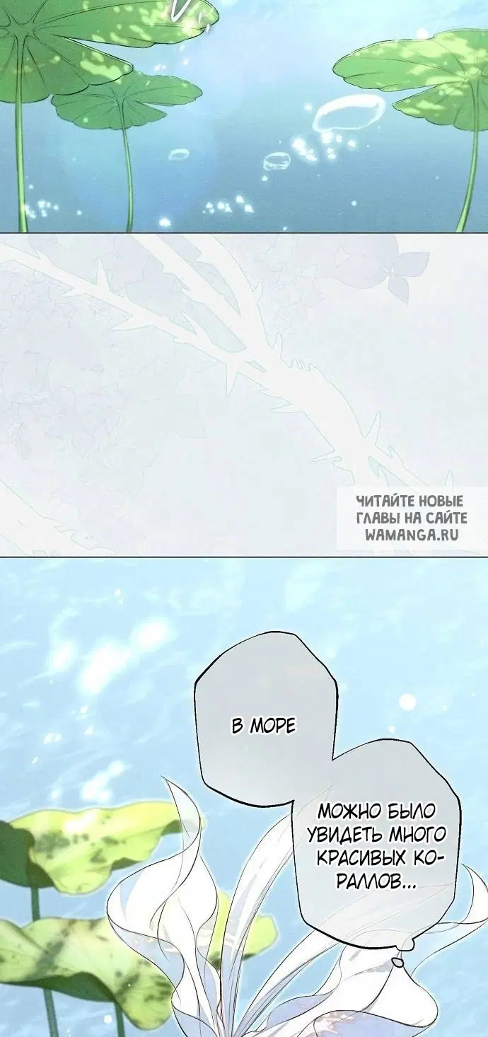 Page 28.000