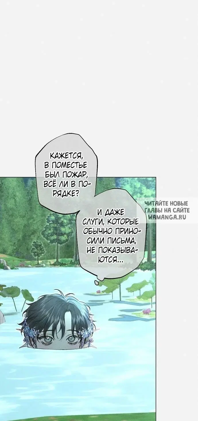 Page 35.000