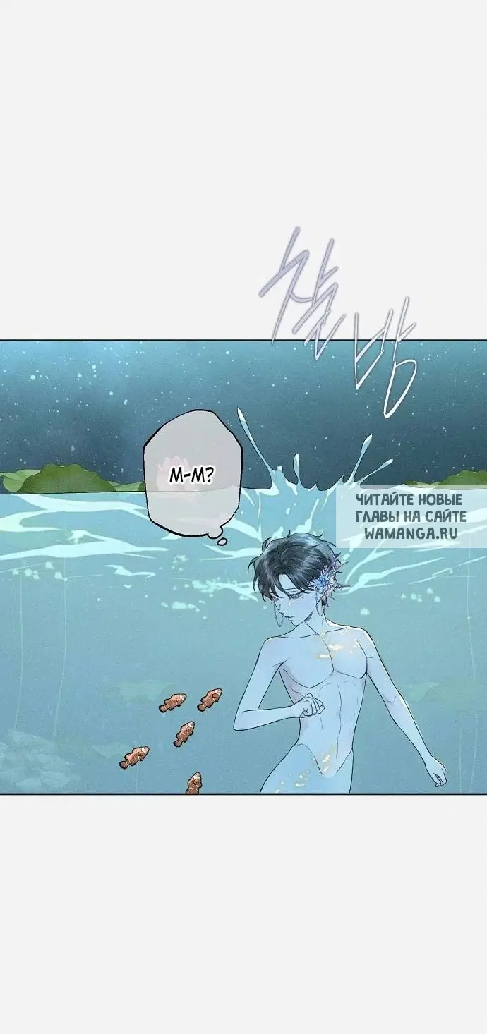 Page 39.000