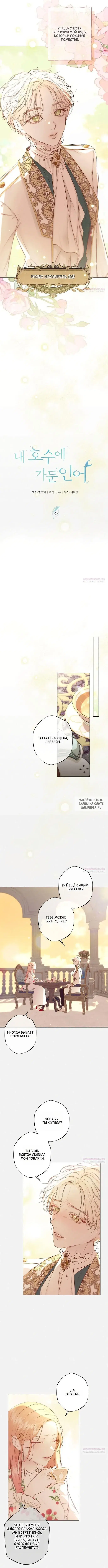 Page 3.000