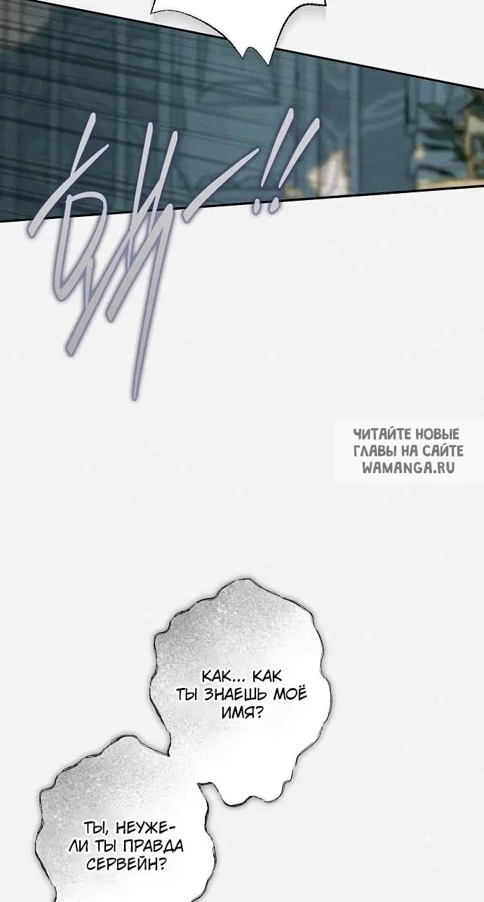Page 43.000