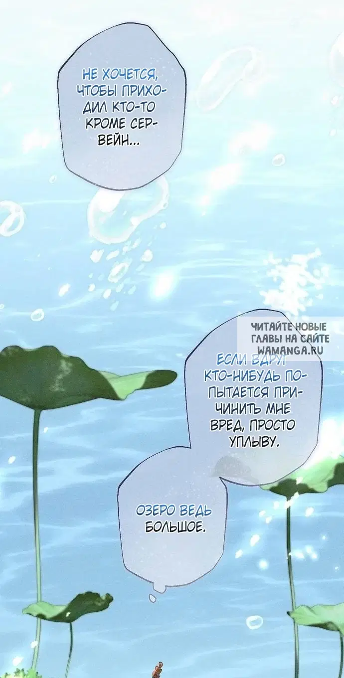 Page 43.000