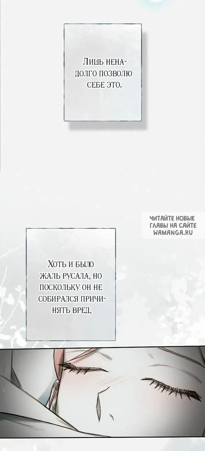 Page 53.000
