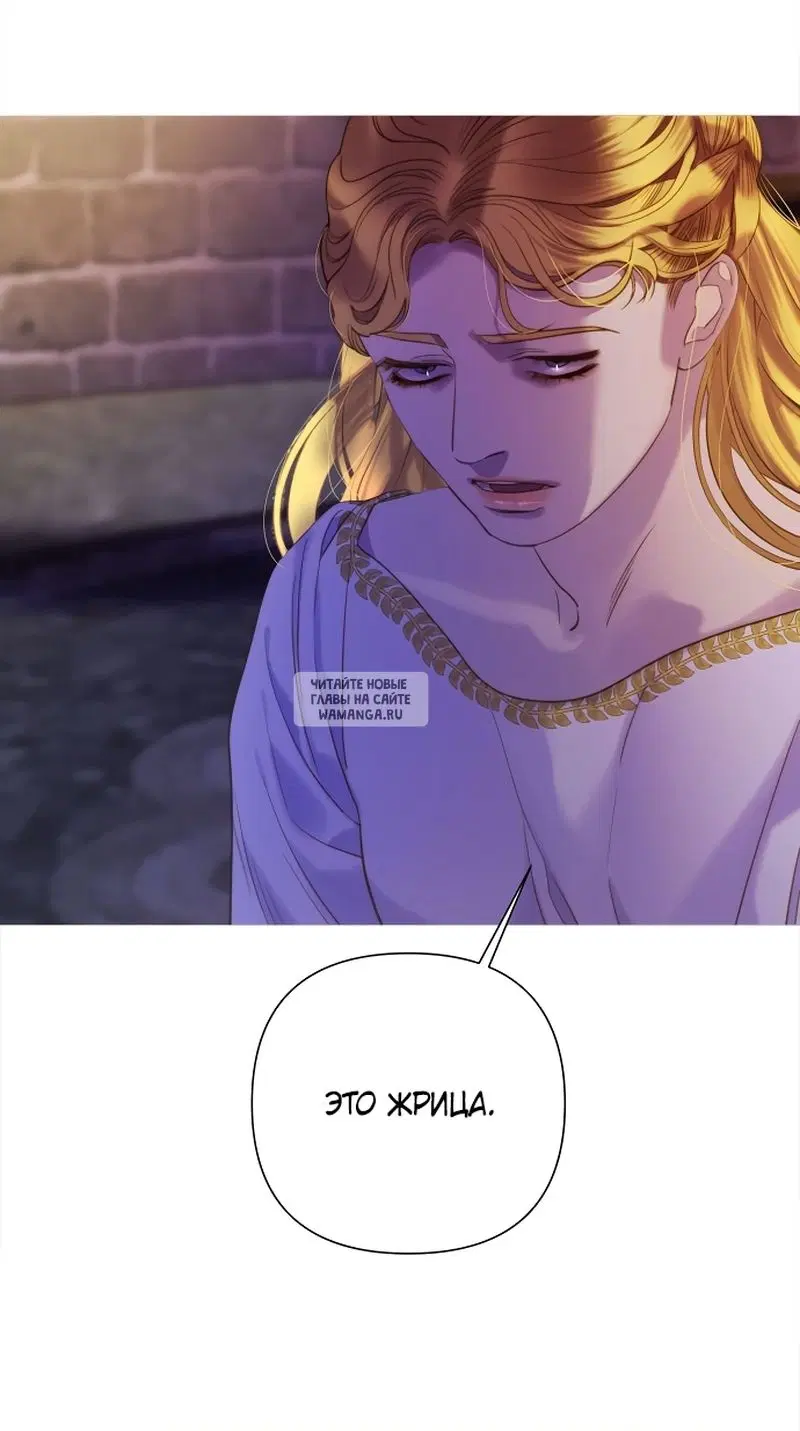 Page 50.000