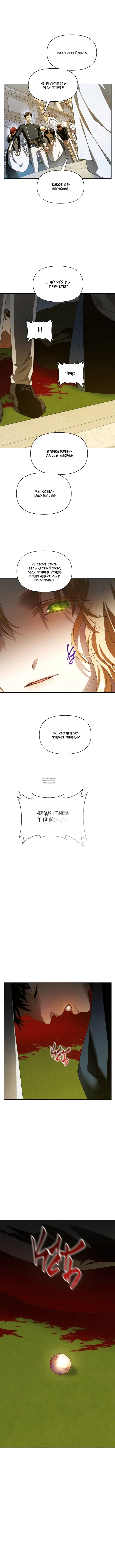 Page 17.000