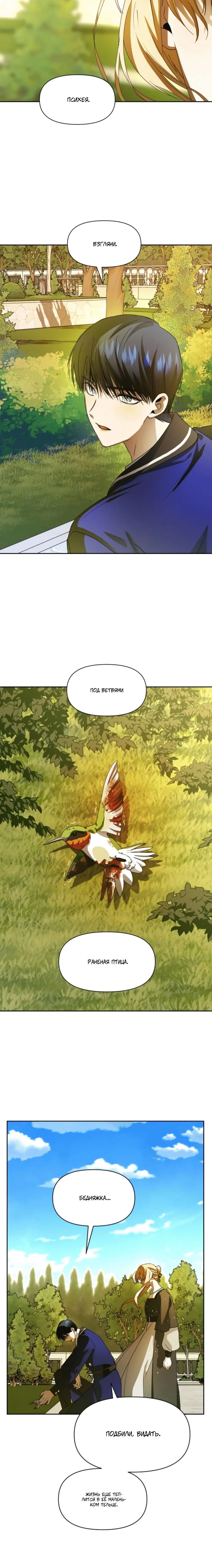 Page 8.001