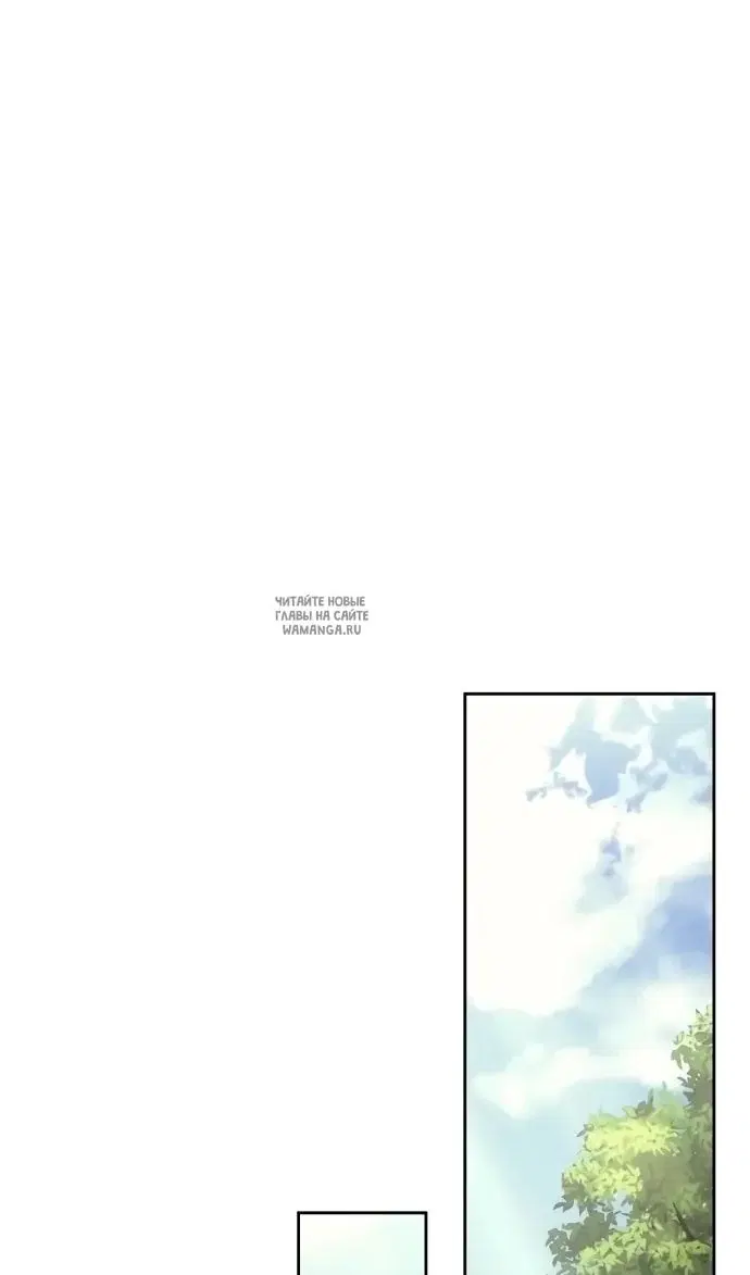 Page 61.000