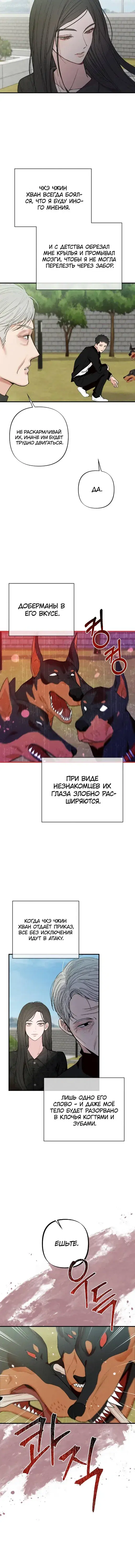 Page 1.001