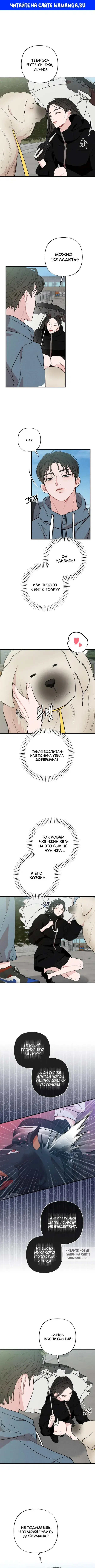 Page 1.000