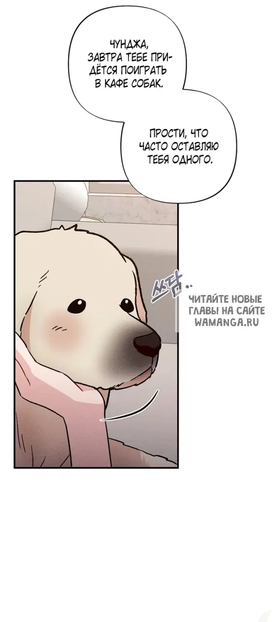 Page 35.000
