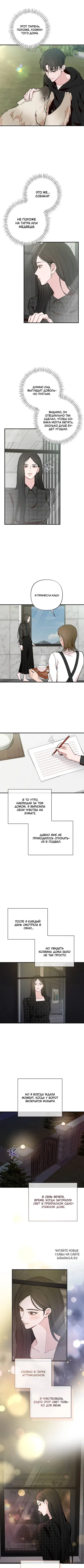 Page 3.000