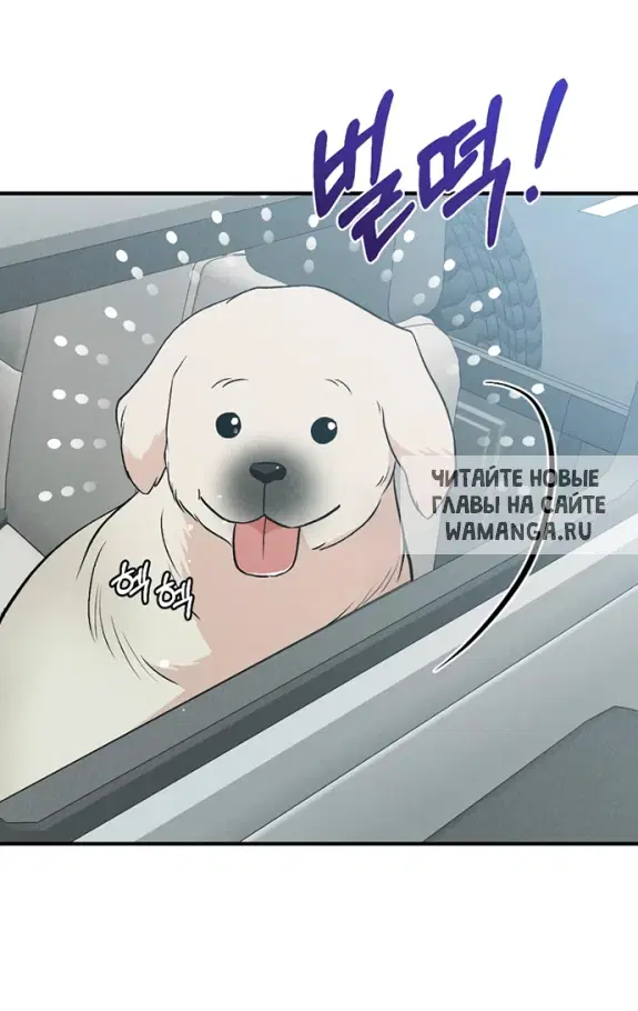 Page 44.000