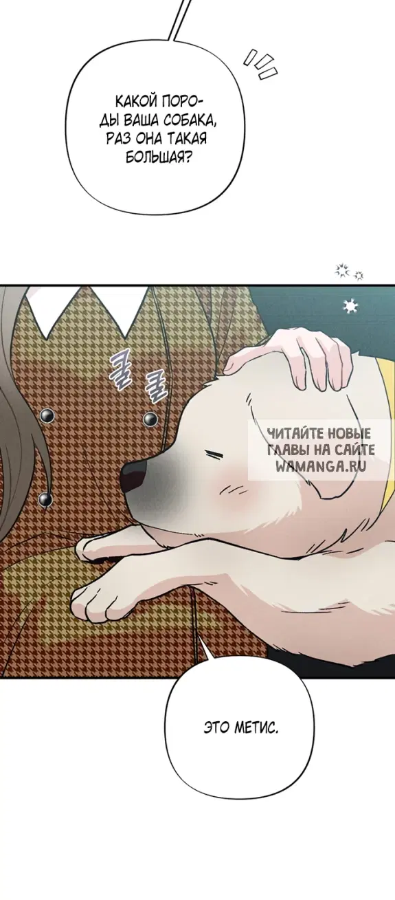 Page 41.000