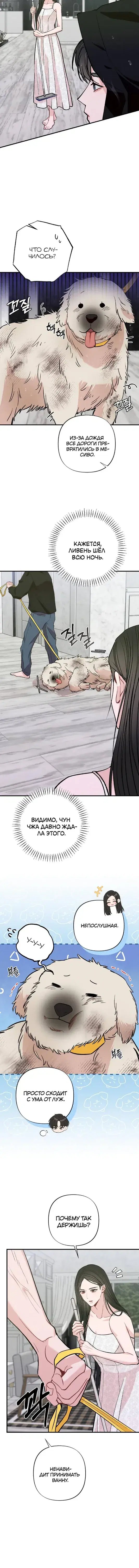 Page 4.001