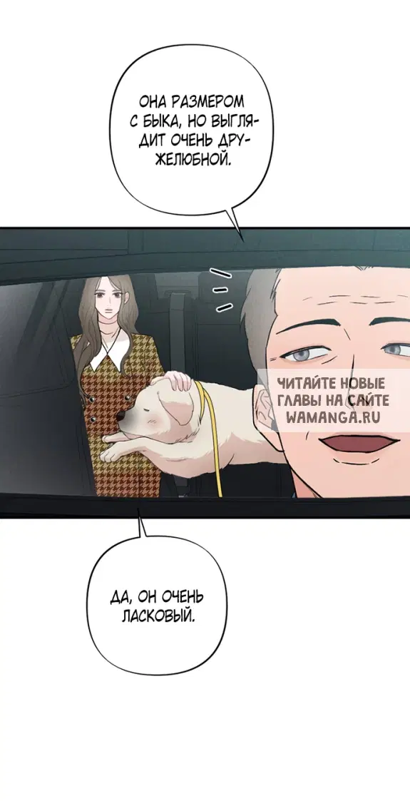 Page 42.000