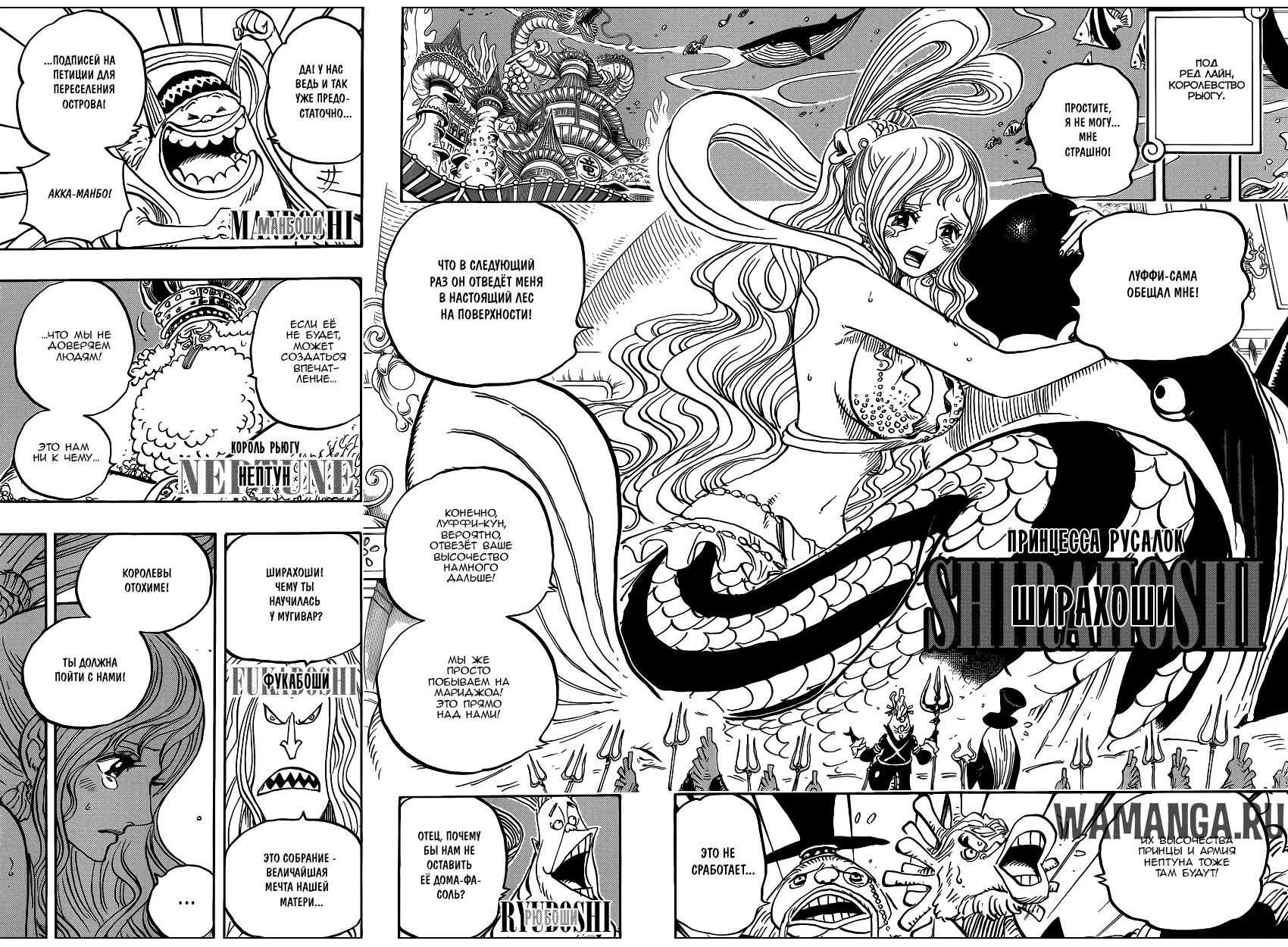 Page 11.000
