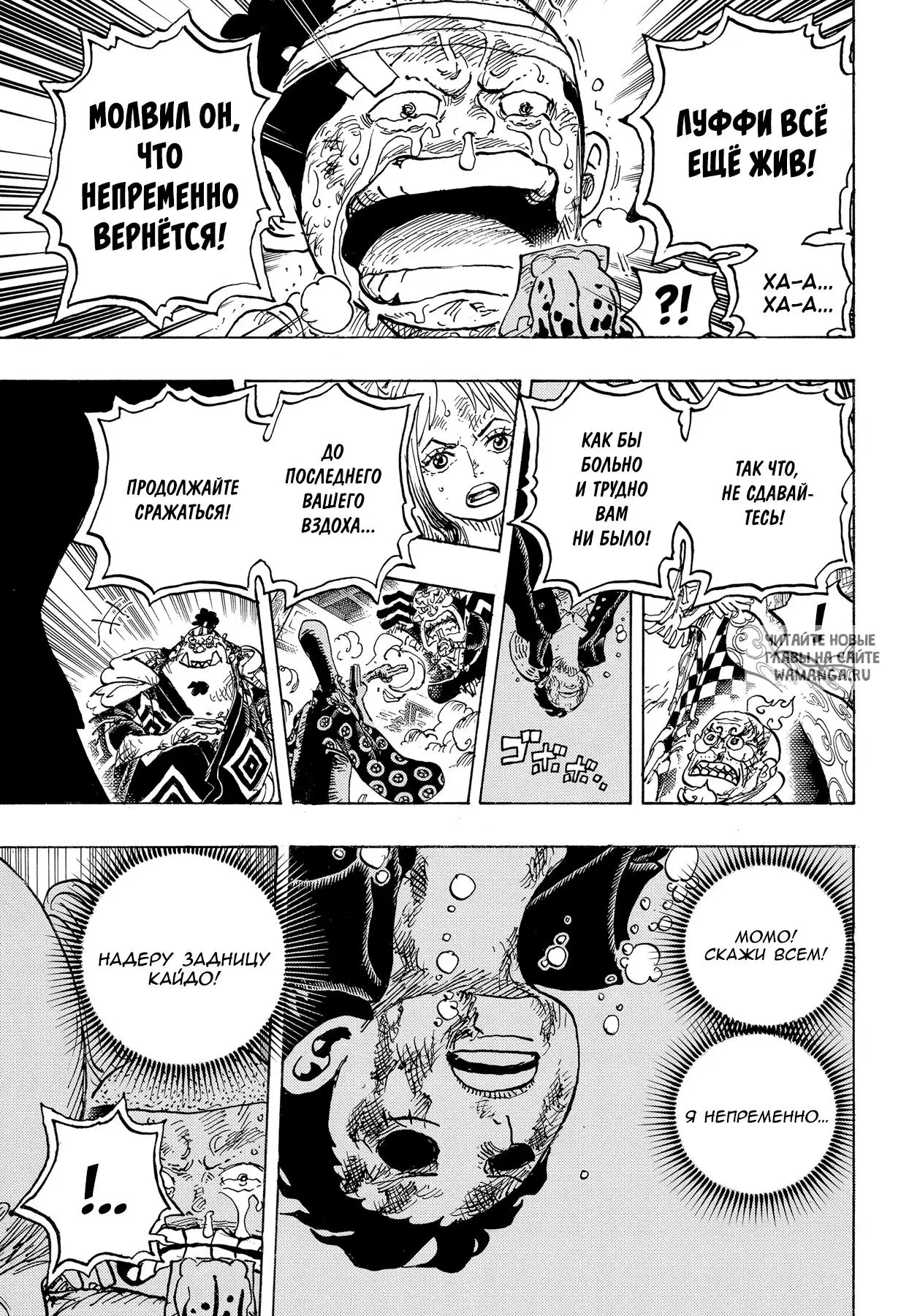 Page 11.000
