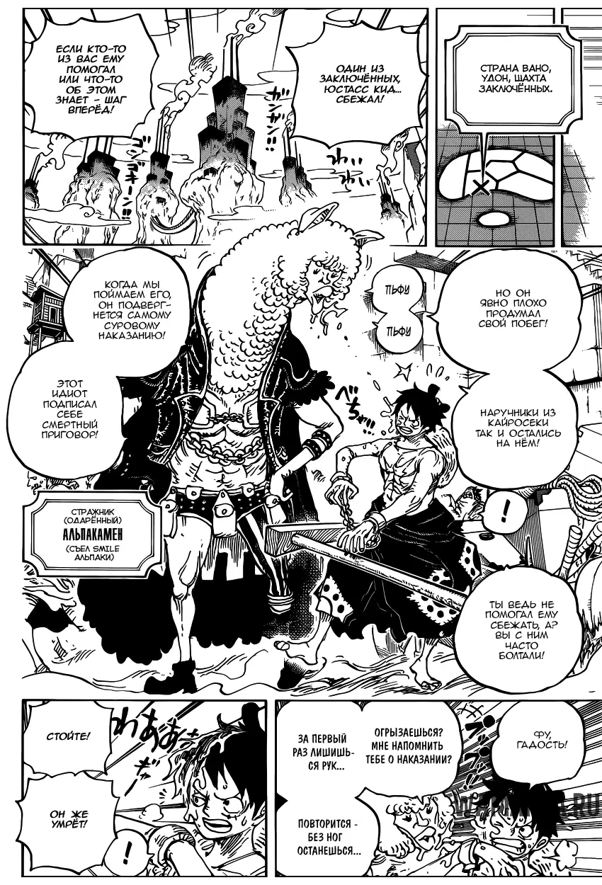 Page 13.000