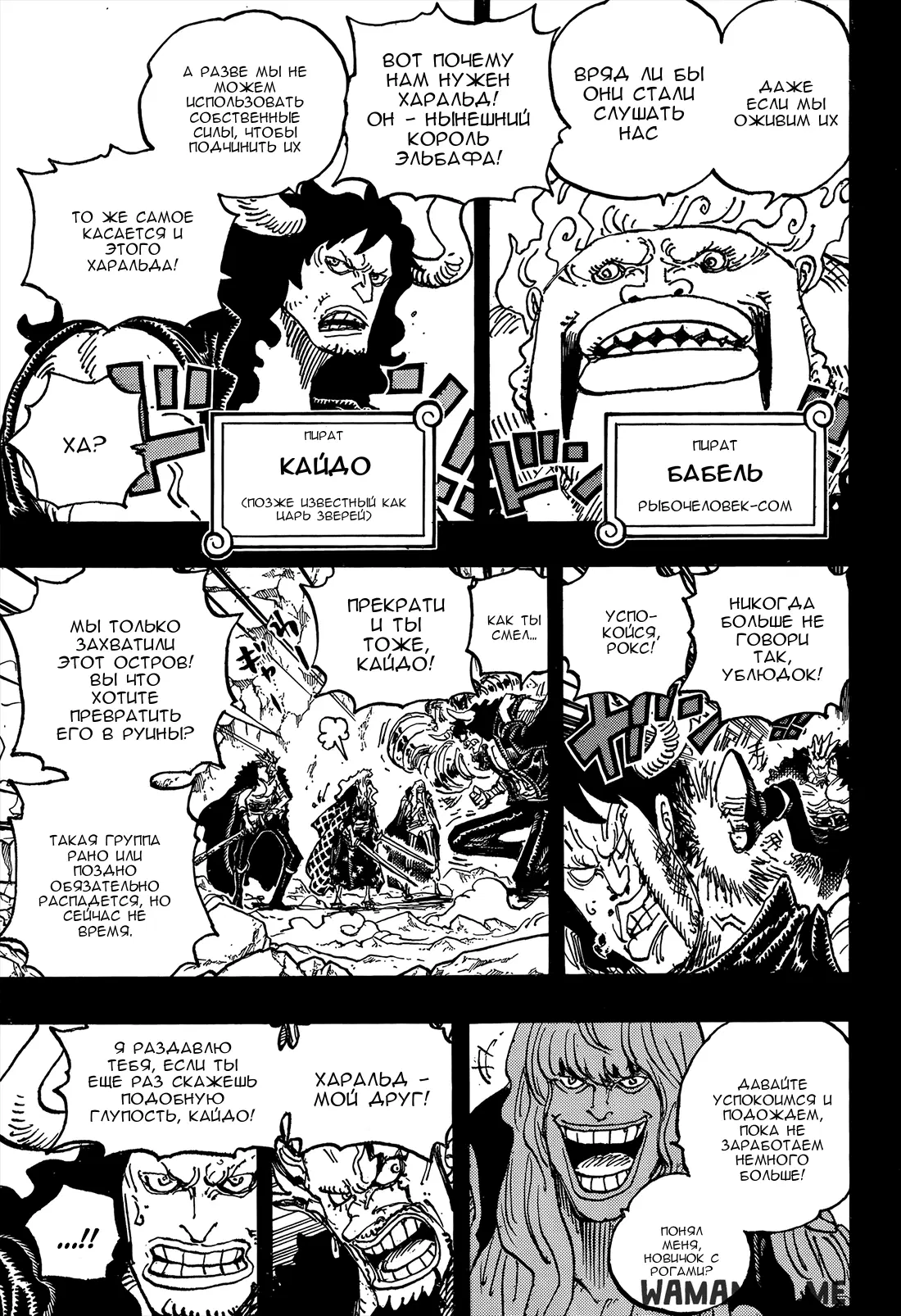 Page 13.000