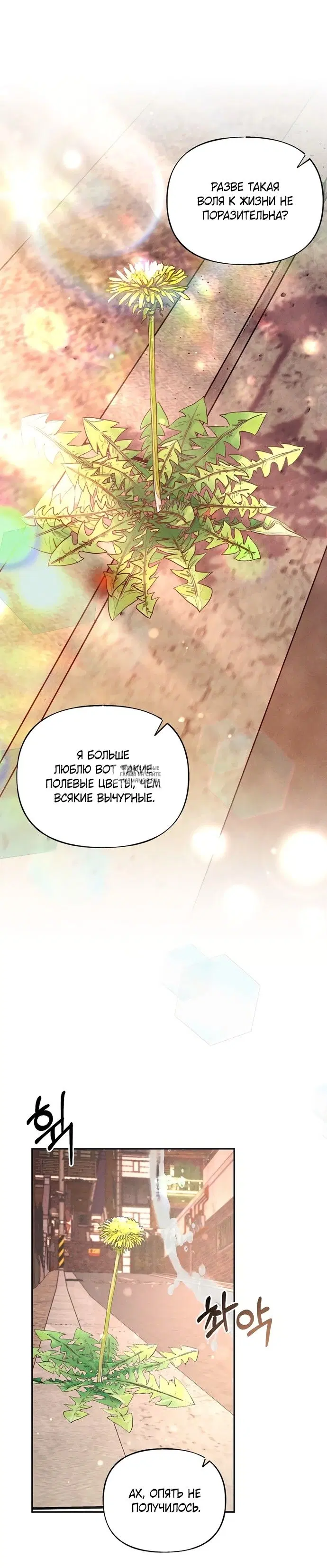 Page 22.000